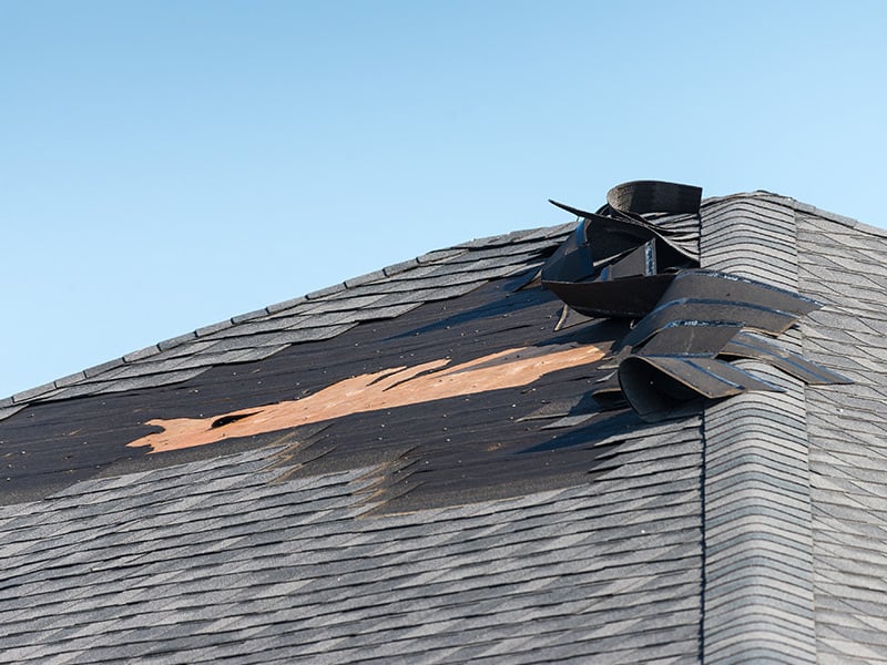 Asphalt shingles after storm damage